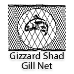 Gizzard Shad Gill Nets