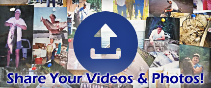 Share Your Video & Photos with Us