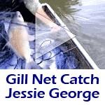 Jessie George Leaded Gill Net